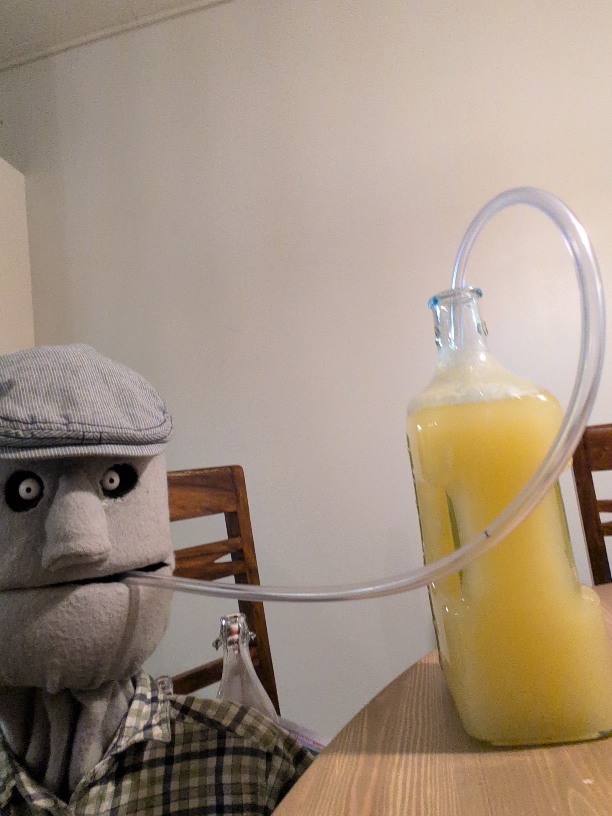 lappoamis letku suussa